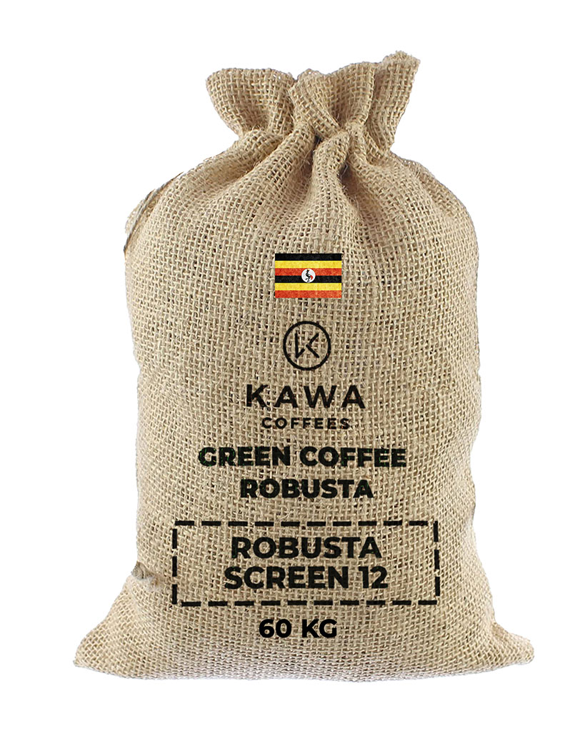 Robusta Screen 12